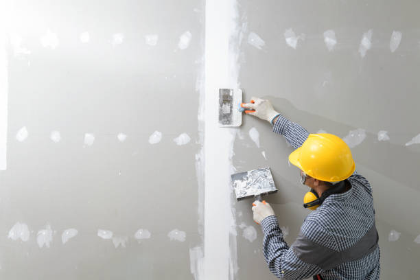 Best Mold Odor Removal Services  in Charlotte, TN