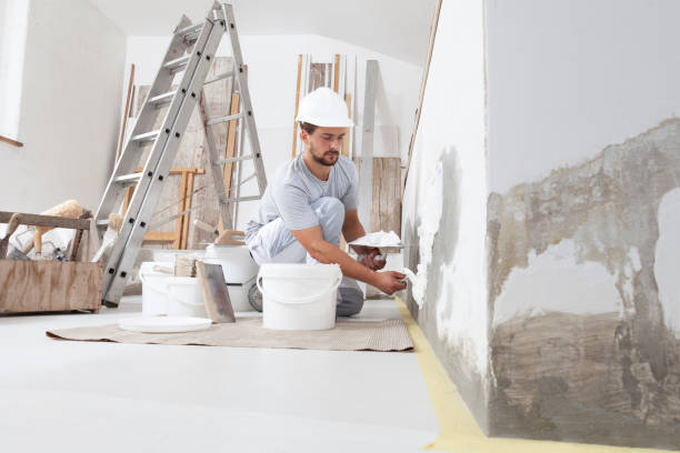 Best Post-Construction Mold Inspection  in Charlotte, TN
